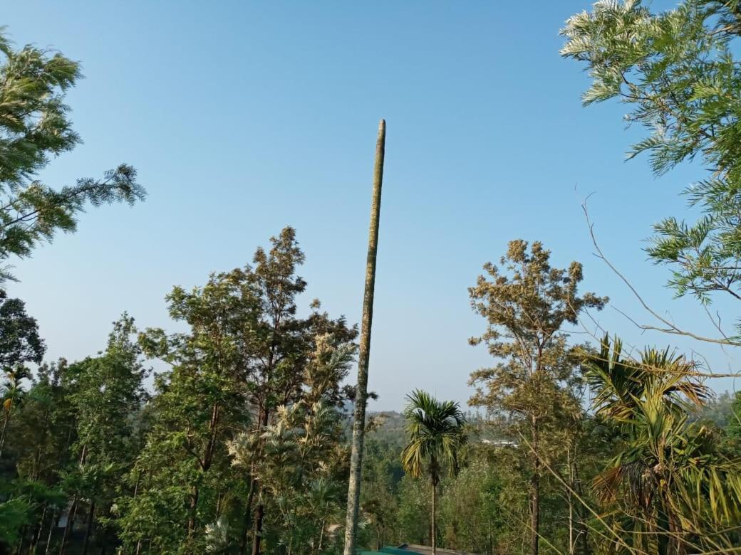 Wayanad Snow Vibes Villa Vythiri Buitenkant foto