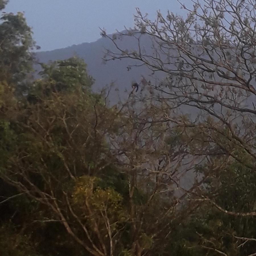 Wayanad Snow Vibes Villa Vythiri Buitenkant foto